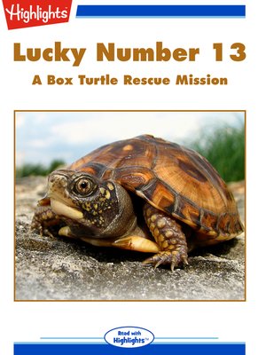 cover image of Lucky Number 13